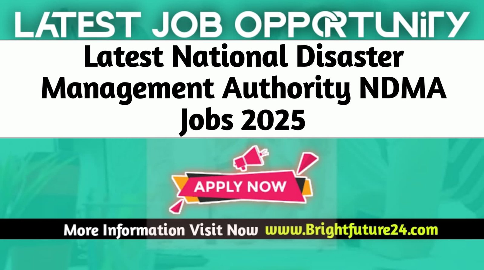 National Disaster Management Authority NDMA Jobs 2025