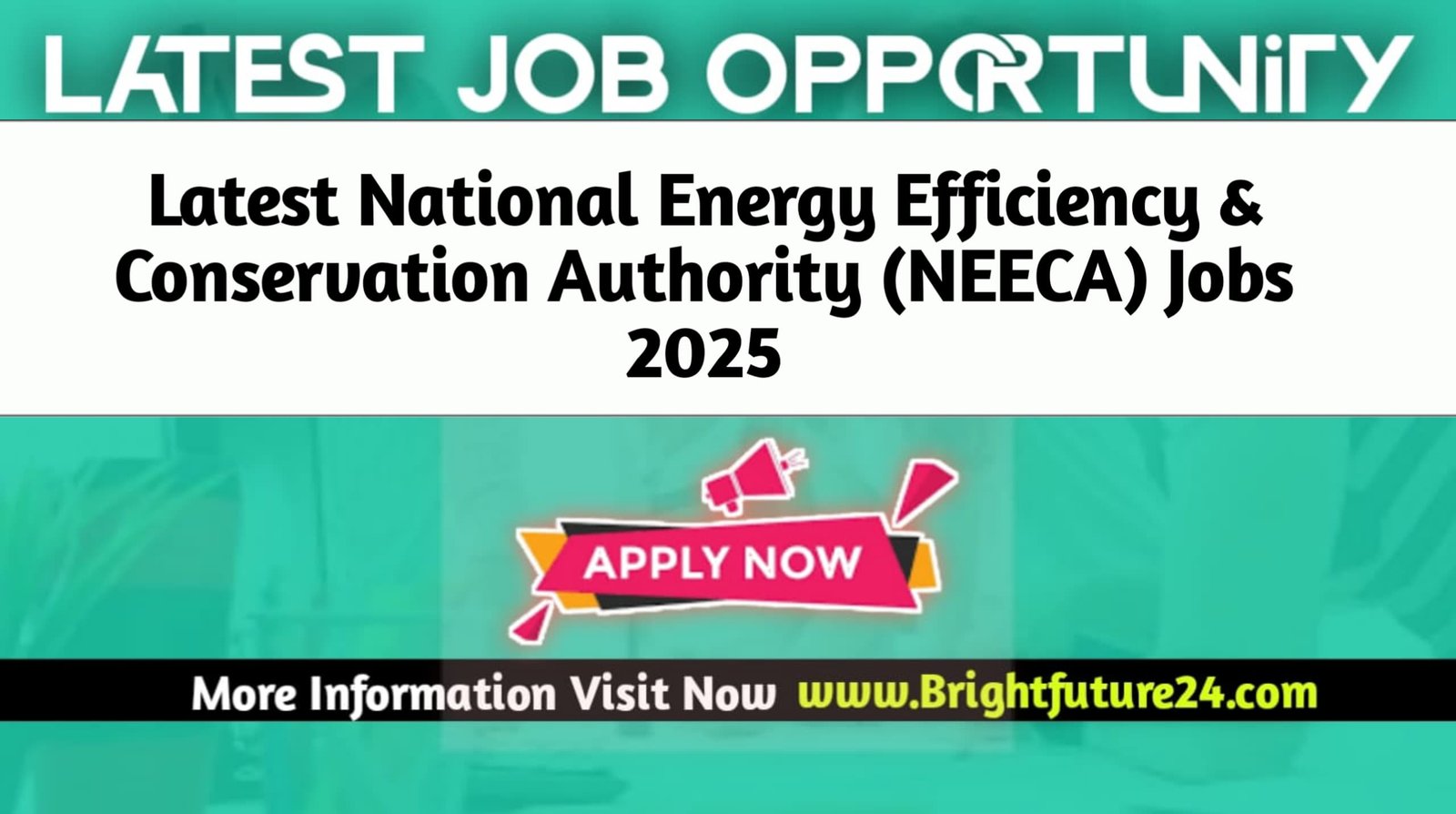 NEECA Islamabad Jobs 2025